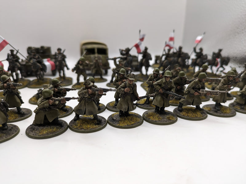 Bolt Action: Poland Army - Nicely Painted (AB986)