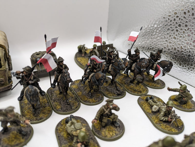 Bolt Action: Poland Army - Nicely Painted (AB986)