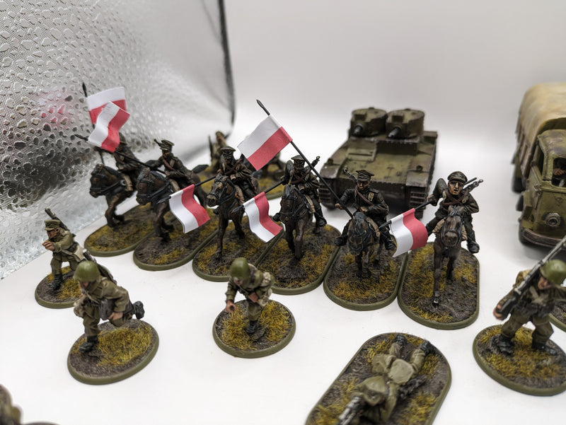 Bolt Action: Poland Army - Nicely Painted (AB986)