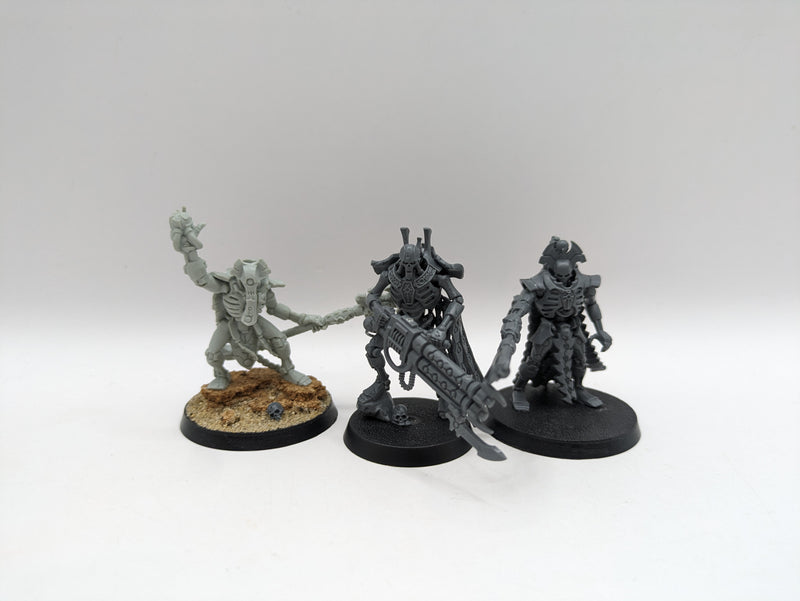 Warhammer 40k: Necron Overlord, Cryptek and Royal Warden (AW189)