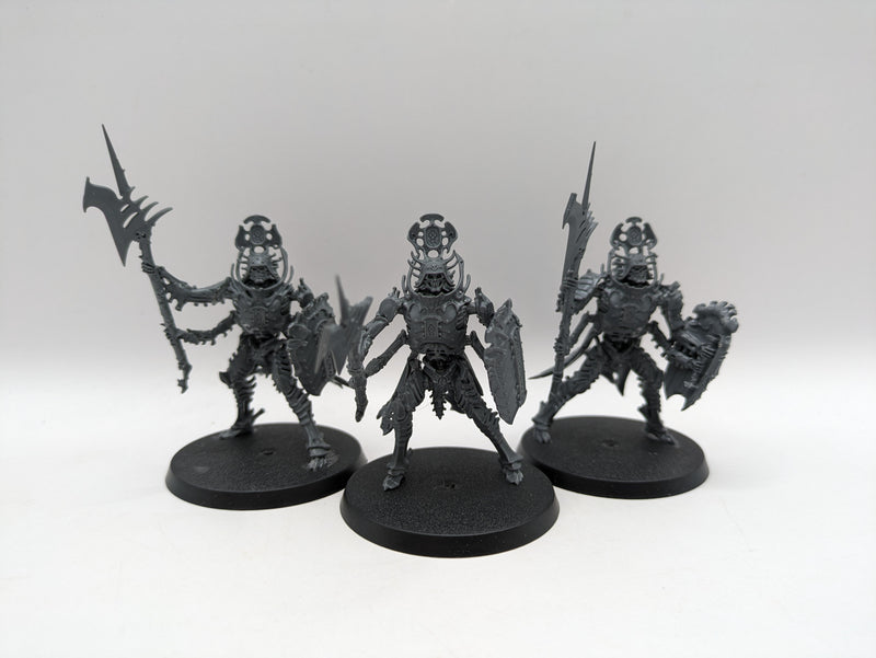 Age of Sigmar: Ossiarch Bonereapers Immortis Guard (AT118)