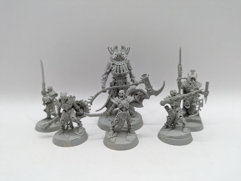 Age of Sigmar: Ossiarch Bonereapers Kainan's Reapers (AD087)