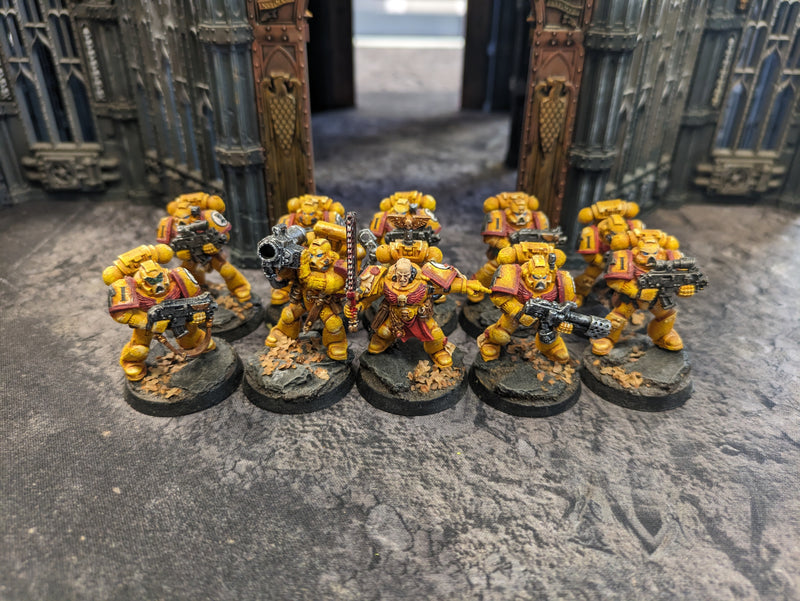 Warhammer 40k: Space Marine Imperial Fists Tactical Marines (AT210)