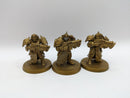 Warhammer 40k: Adeptus Custodes Sagittarum Guard (AW236)