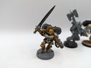 Warhammer 40k: Space Marines Blood Angels Dante and Sanguinary Guard (AL047)