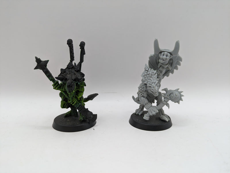 Age of Sigmar: Seraphon Eternity Warden and Saurus Sunblood/Gor Rok (AD001)