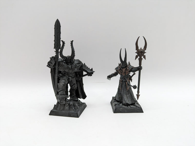 Age of Sigmar: Slaves to Darkness Chaos Lord and Sorcerer (AW028)