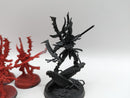 Warhammer 40k: Drukhari Incubi and Drazhar (AZ118)