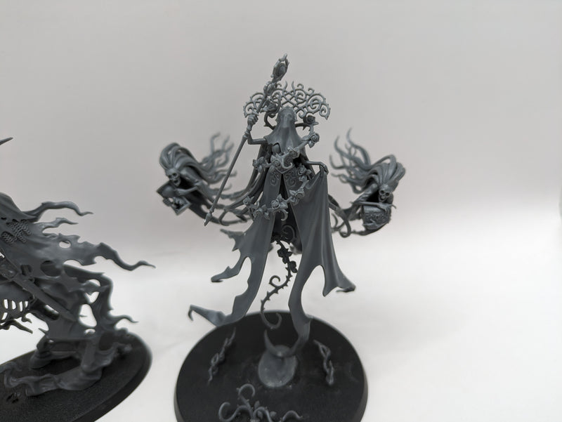 Age of Sigmar: Nighthaunt Lady Olynder and Knight of Shrouds (BC054)