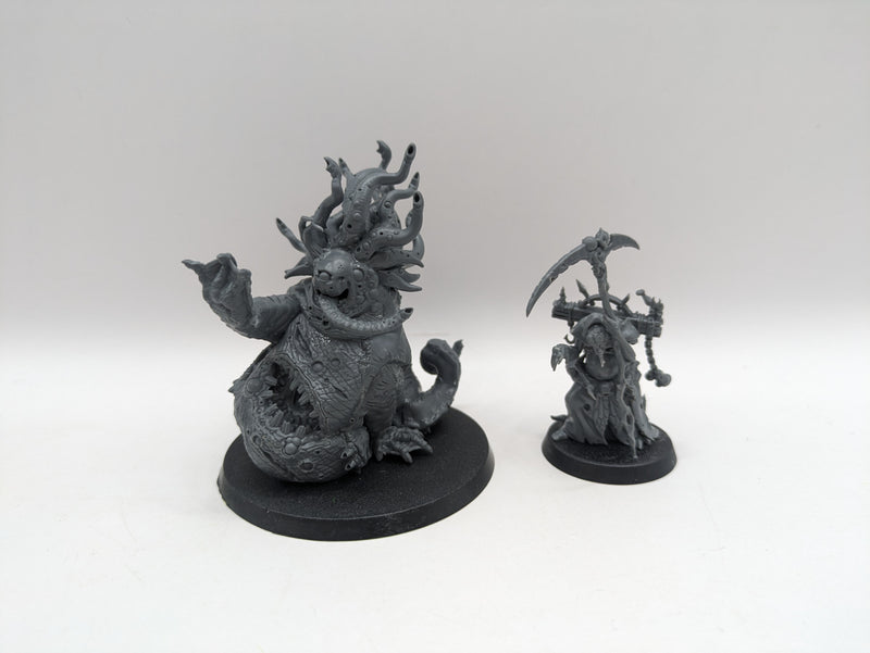 Age of Sigmar: Maggotkin of Nurgle Beast of Nurgle and Robringer Sorcerer (BA020)