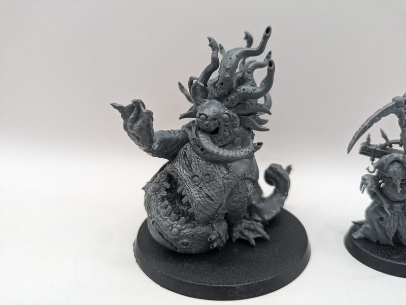 Age of Sigmar: Maggotkin of Nurgle Beast of Nurgle and Robringer Sorcerer (BA020)