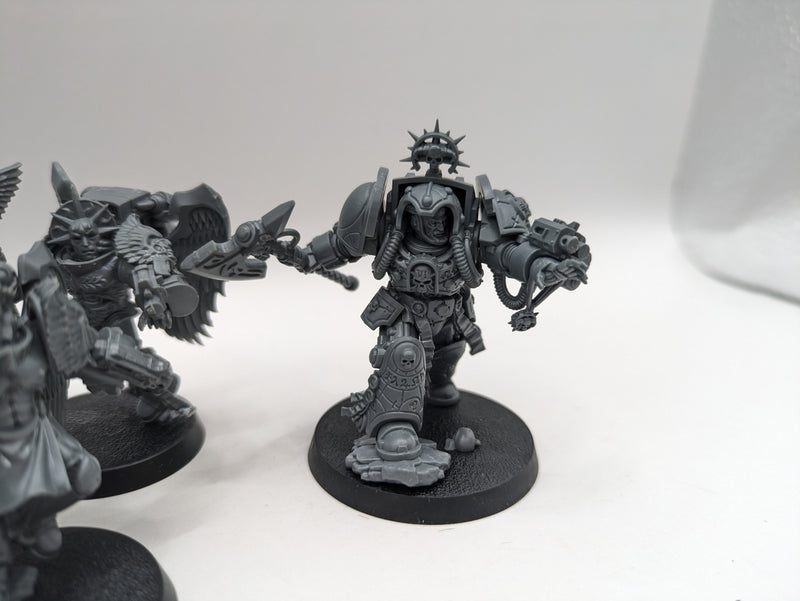 Warhammer 40k: Space Marine Blood Angels Sanguinary Guard and Terminator Librarian (AA073)