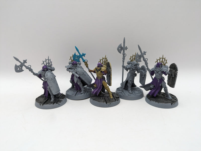 Warhammer 40k: Adepta Sororitas Celestian Sacresants (AT079)