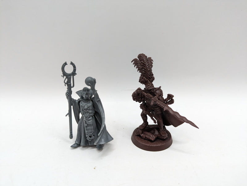 Age of Sigmar/ Old World Fantasy: Cities of Sigmar Empire General and Wizard (BA002)