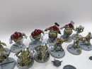 Blood Bowl: Nurgle Blood Bowl Team Nurgles Rotters (AA009)