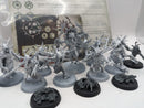 Age of Sigmar: Warcry Slaves to Darkness Tarantulos Brood (AD087)