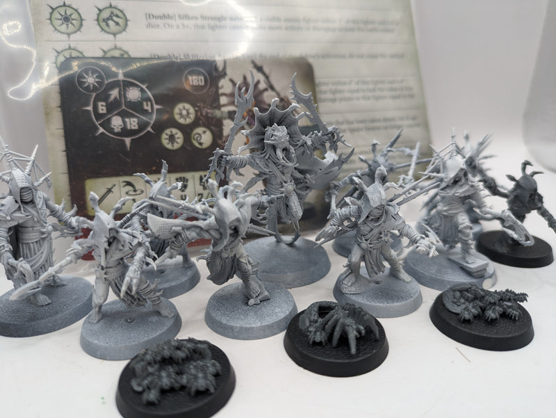 Age of Sigmar: Warcry Slaves to Darkness Tarantulos Brood (AD087)