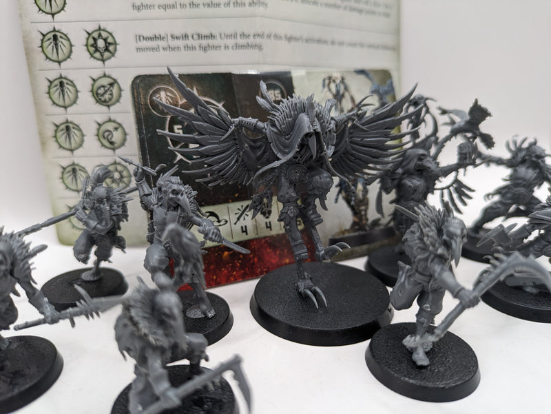 Age of Sigmar: Warcry Slaves to Darkness Corvus Cabal (AL017)