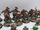 Blood Bowl: Nurgle Blood Bowl Team - Nurgle's Rotters (AI055)