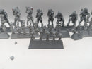 Warhammer 30k Horus Heresy: Solar Auxilia Veletaris Storm Section (AU030)