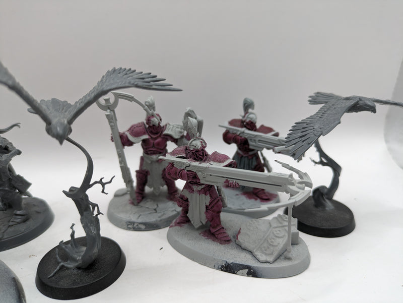 Age of Sigmar: Stormcast Eternals Vanguard-Raptors (AW066)