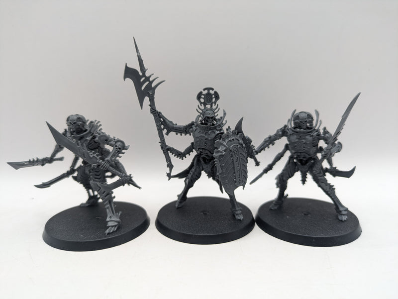 Age of Sigmar: Ossiarch Bonereapers Necropolis Stalkers (AP008)