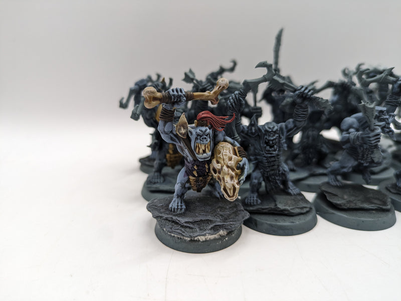 Age of Sigmar: Orruk Warclans Savage Orruks (AD004)