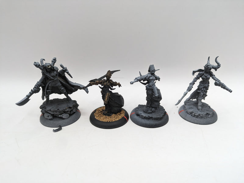 Privateer Press Warmachine: Cryx Warwitch Sirens, Axiara Wraithblade and Queen Skarre (AJ088)