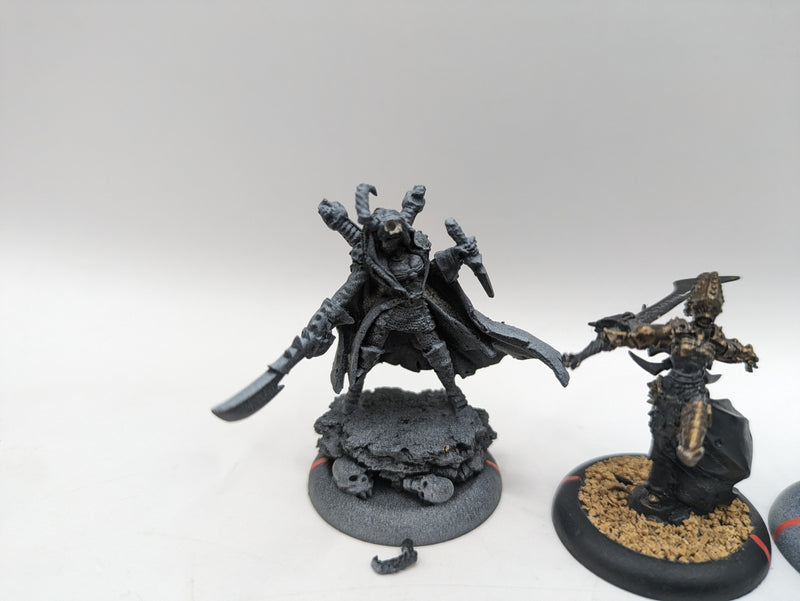 Privateer Press Warmachine: Cryx Warwitch Sirens, Axiara Wraithblade and Queen Skarre (AJ088)