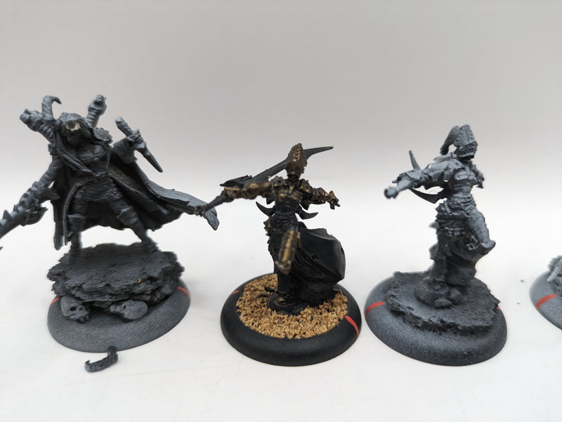 Privateer Press Warmachine: Cryx Warwitch Sirens, Axiara Wraithblade and Queen Skarre (AJ088)