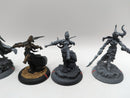 Privateer Press Warmachine: Cryx Warwitch Sirens, Axiara Wraithblade and Queen Skarre (AJ088)