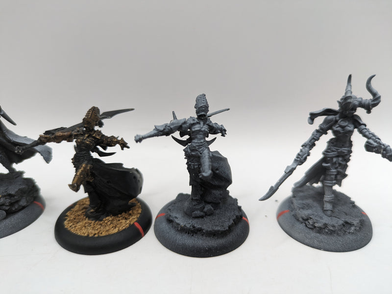 Privateer Press Warmachine: Cryx Warwitch Sirens, Axiara Wraithblade and Queen Skarre (AJ088)