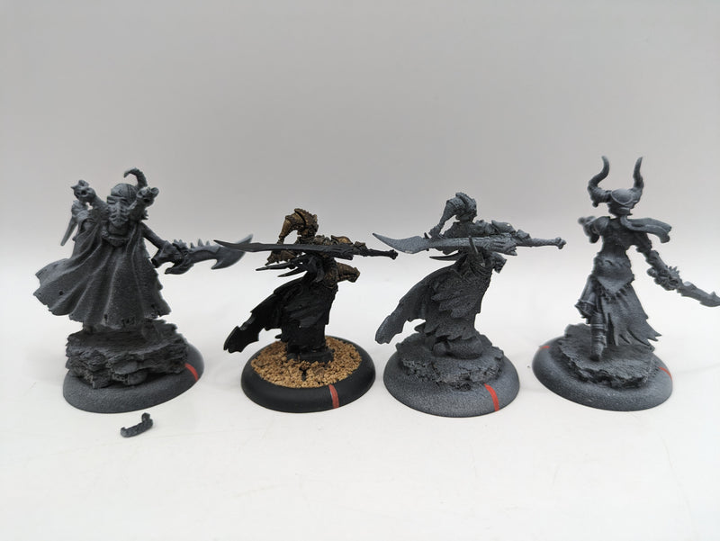 Privateer Press Warmachine: Cryx Warwitch Sirens, Axiara Wraithblade and Queen Skarre (AJ088)