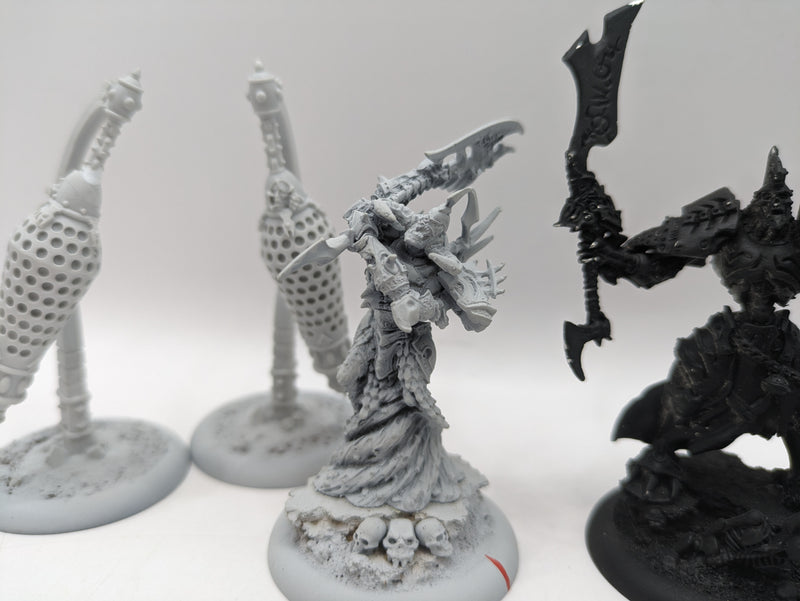 Privateer Press Warmachine: Cryx Lich Lord Venethrax, Bane Lord Tartarus and Misery cages (AT076)