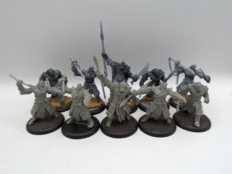 Privateer Press Hordes: Legion of Everblight Blighted Agrun Warspears (AC073)