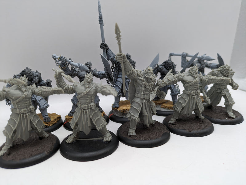 Privateer Press Hordes: Legion of Everblight Blighted Agrun Warspears (AC073)