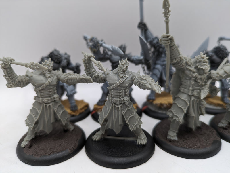 Privateer Press Hordes: Legion of Everblight Blighted Agrun Warspears (AC073)