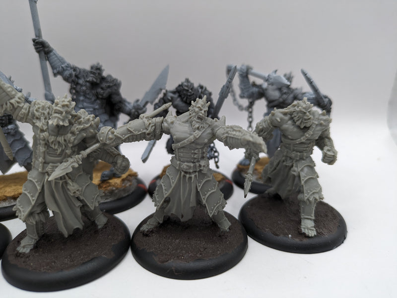 Privateer Press Hordes: Legion of Everblight Blighted Agrun Warspears (AC073)