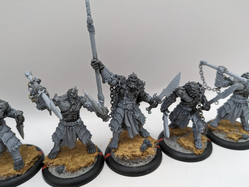 Privateer Press Hordes: Legion of Everblight Blighted Agrun Warspears (AC073)