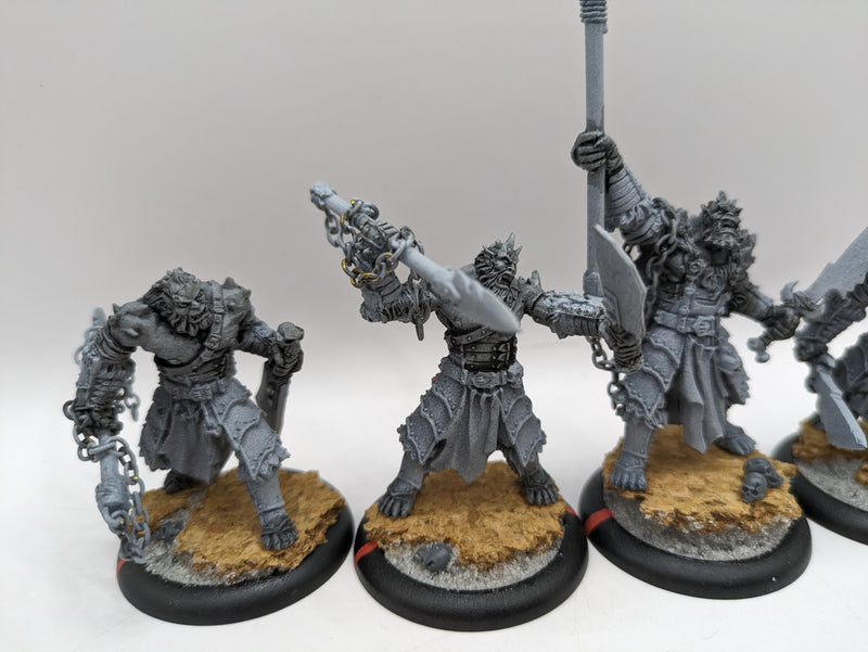 Privateer Press Hordes: Legion of Everblight Blighted Agrun Warspears (AC073)