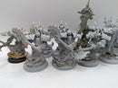 Privateer Press Warmachine: Cryx Bane Warriors (AC042)