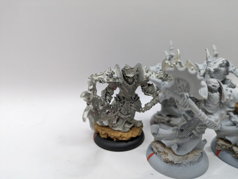 Privateer Press Warmachine: Cryx Bane Warriors (AC042)