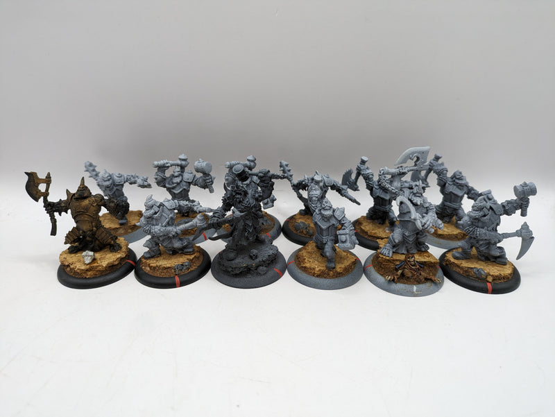 Privateer Press Warmachine Hordes: Trollbloods Warriors (AF055)