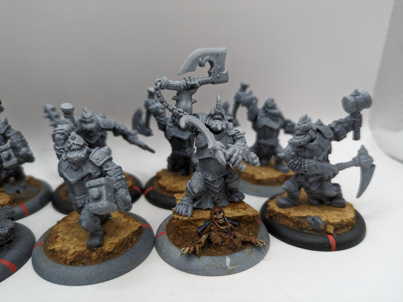 Privateer Press Warmachine Hordes: Trollbloods Warriors (AF055)