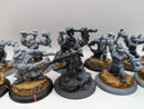 Privateer Press Warmachine Hordes: Trollbloods Warriors (AF055)