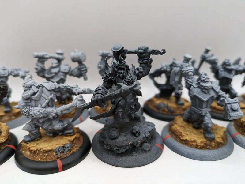 Privateer Press Warmachine Hordes: Trollbloods Warriors (AF055)