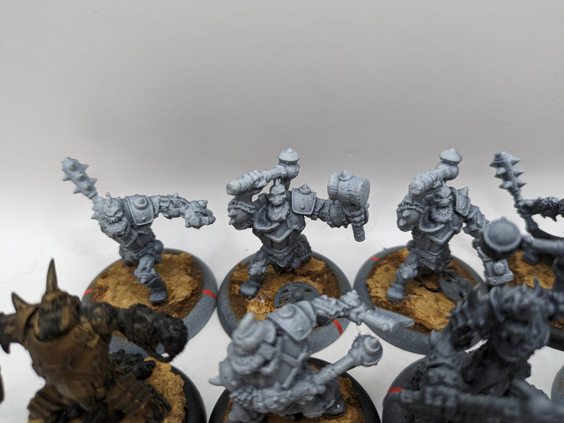 Privateer Press Warmachine Hordes: Trollbloods Warriors (AF055)