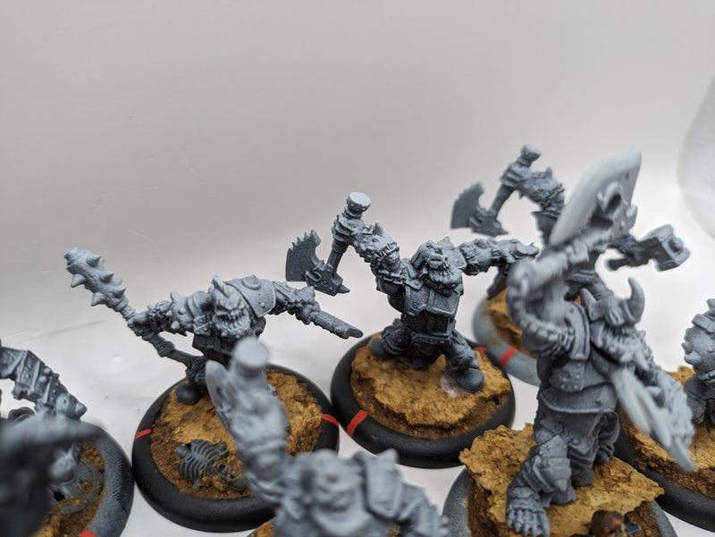 Privateer Press Warmachine Hordes: Trollbloods Warriors (AF055)