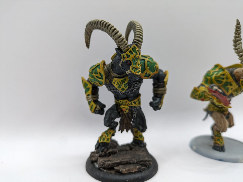 Privateer Press Warmachine Hordes: Circle Orboros Gnarlhorns (AA092)