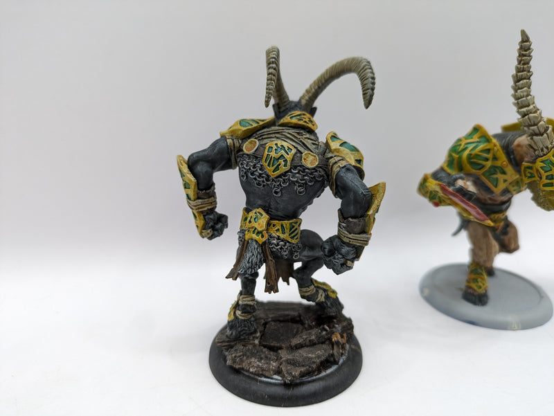 Privateer Press Warmachine Hordes: Circle Orboros Gnarlhorns (AA092)